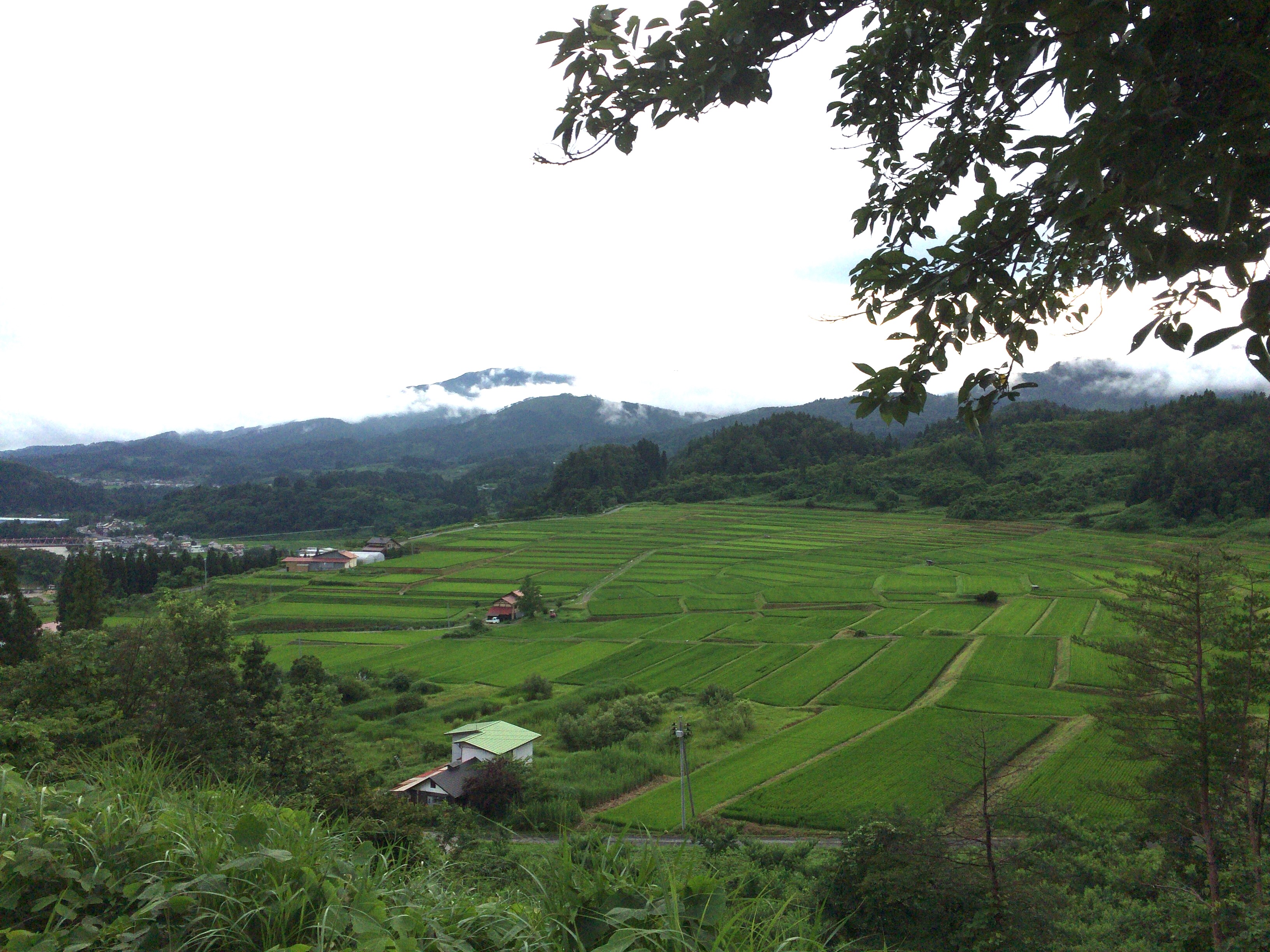 田舎 31のたび日記【24/31】りんごとウサヒのまち・山形県朝日町（後編